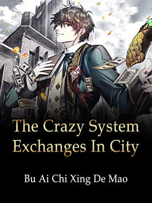 The Crazy System Exchanges In City